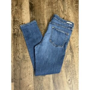Pilcro & The Letterpress HighRise Skinny Jeans Womens 31 Blue Wash Anthropologie